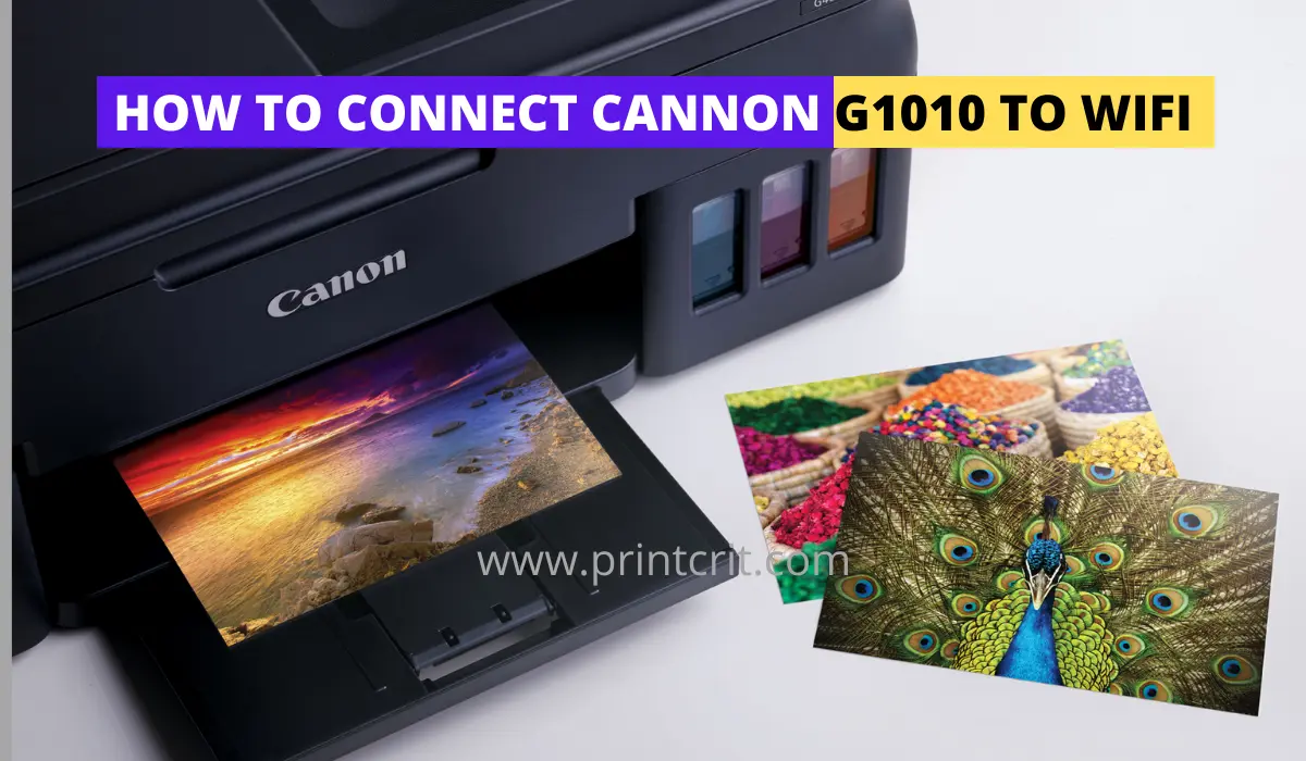 How to connect Canon G1010 to Wi-Fi? - Step by Step Guide